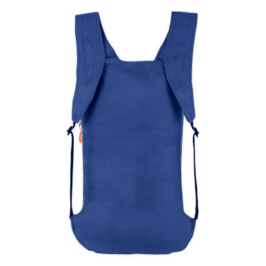 SALEWA Ultralight 22L Backpack
