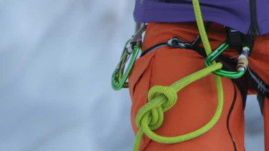 SALEWA HMS Pro Carabiner