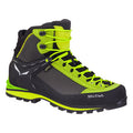 SALEWA Crow GORE-TEX® Men's Shoes Cactus
