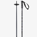 SALOMON Hacker Ski Poles