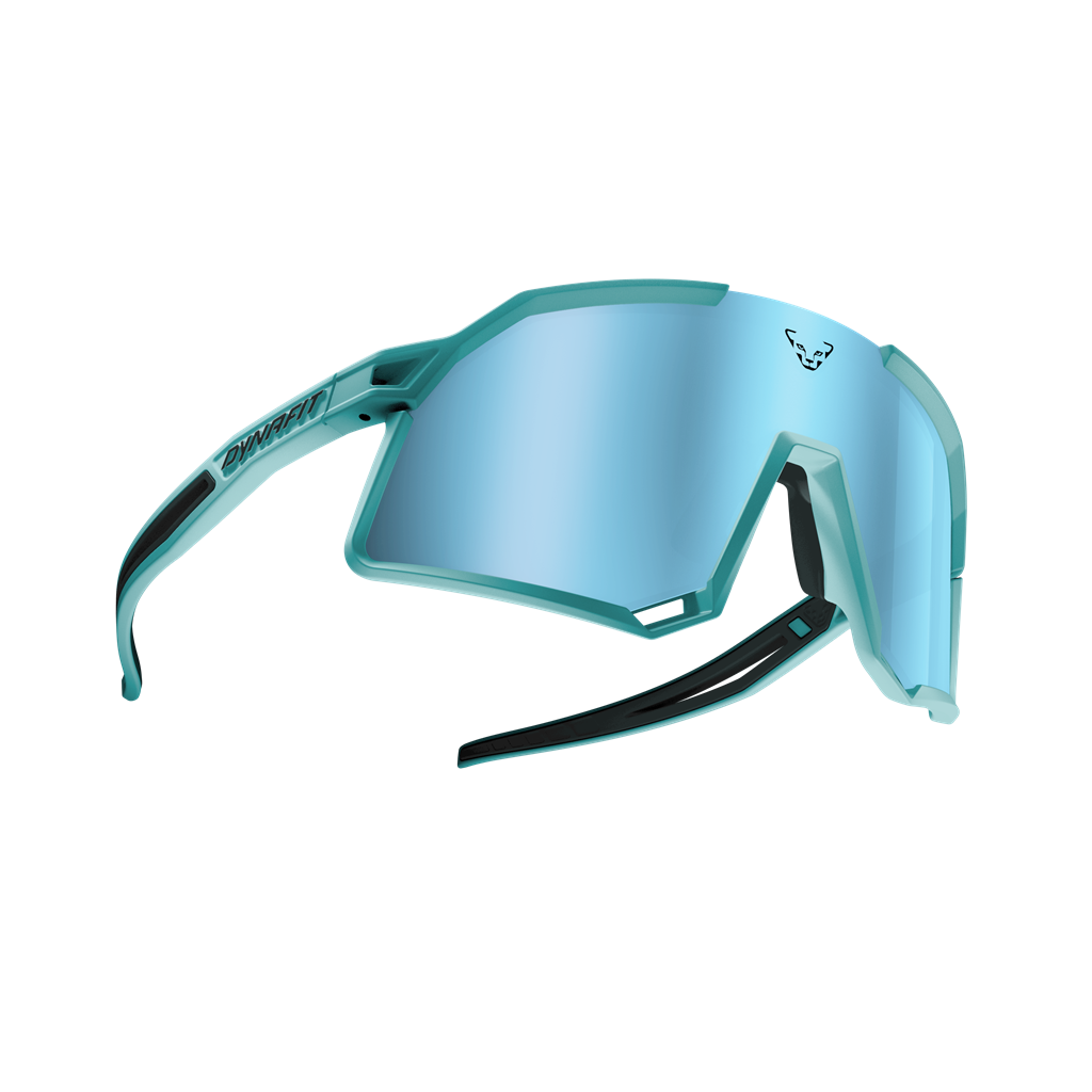 DYNAFIT Trail Evo Sunglasses