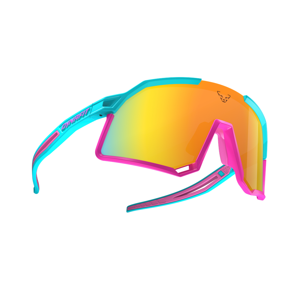 DYNAFIT Trail Evo Sunglasses