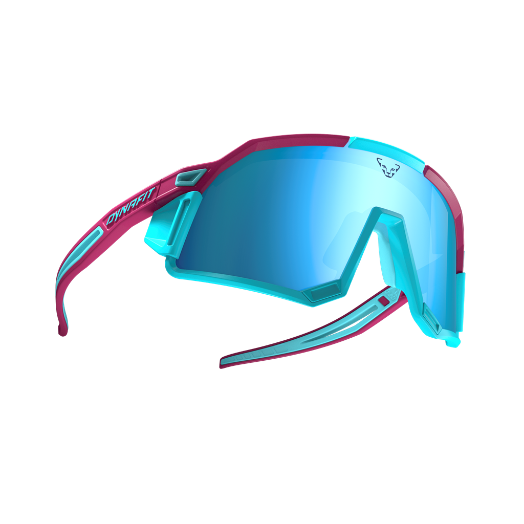 DYNAFIT Sky Evo Sunglasses