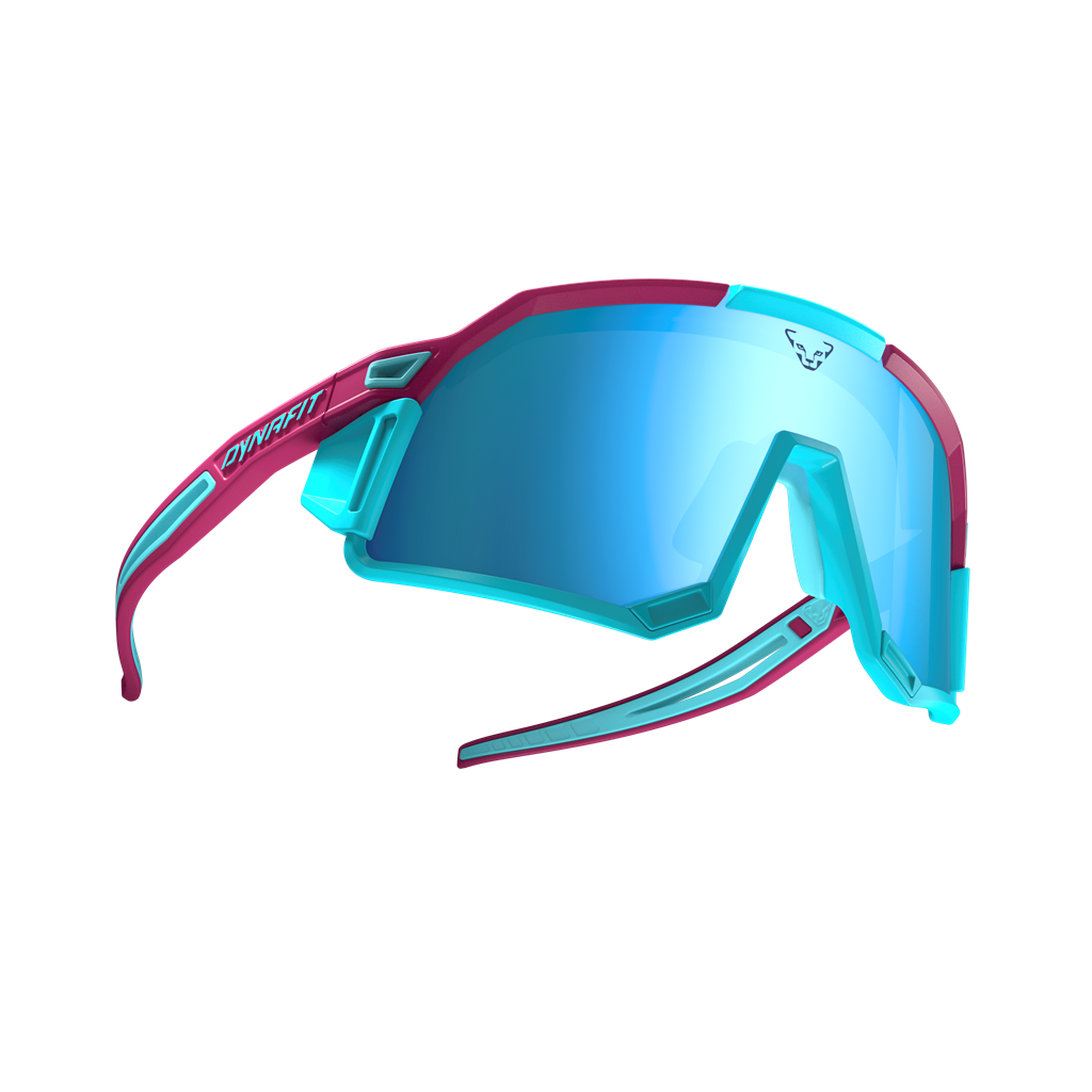 DYNAFIT Alpine Evo Sunglasses