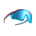 DYNAFIT Alpine Evo Sunglasses