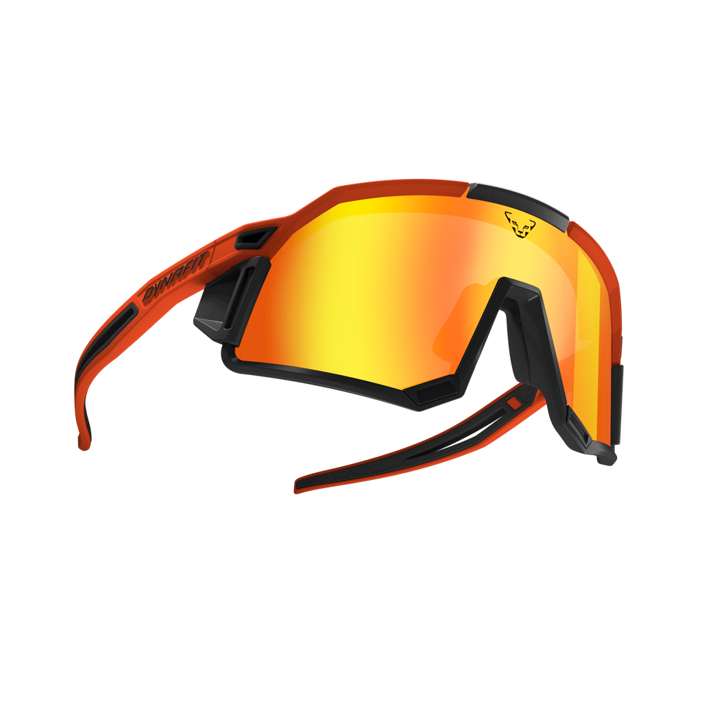 DYNAFIT Alpine Evo Sunglasses