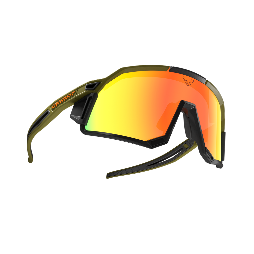 DYNAFIT Alpine Evo Sunglasses