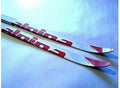 ALPINA Skis Ambition Skate NIS W