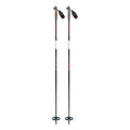 ALPINA XT XC Pole