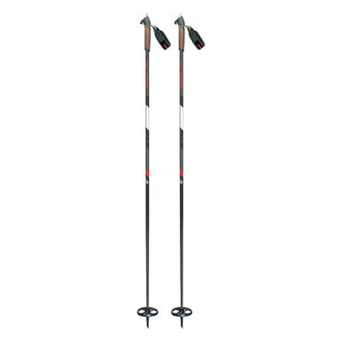 ALPINA XT XC Pole