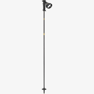 SALOMON Ski Pole Element Carbon Ergo S3