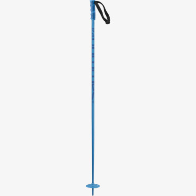 SALOMON Hacker Ski Poles