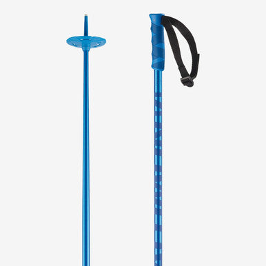 SALOMON Hacker Ski Poles