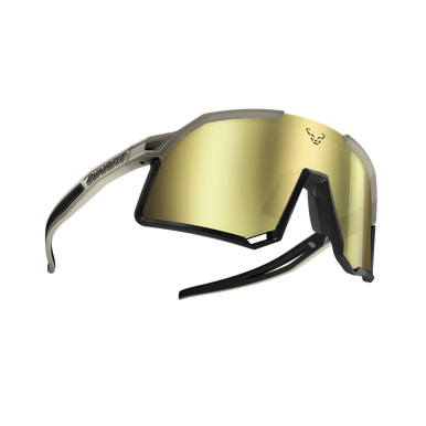 DYNAFIT Trail Evo Sunglasses