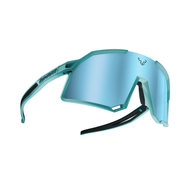 DYNAFIT Trail Evo Sunglasses
