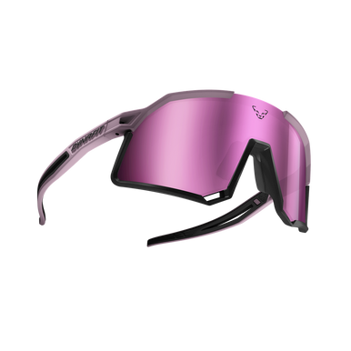 DYNAFIT Trail Evo Sunglasses