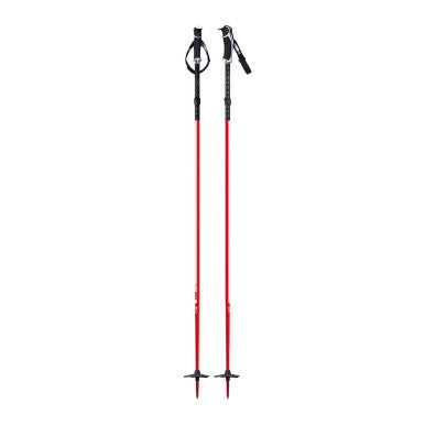 G3 FIXIE Ski Poles