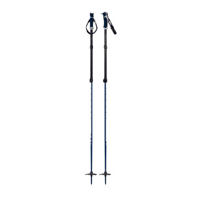 G3 VIA Ski Poles
